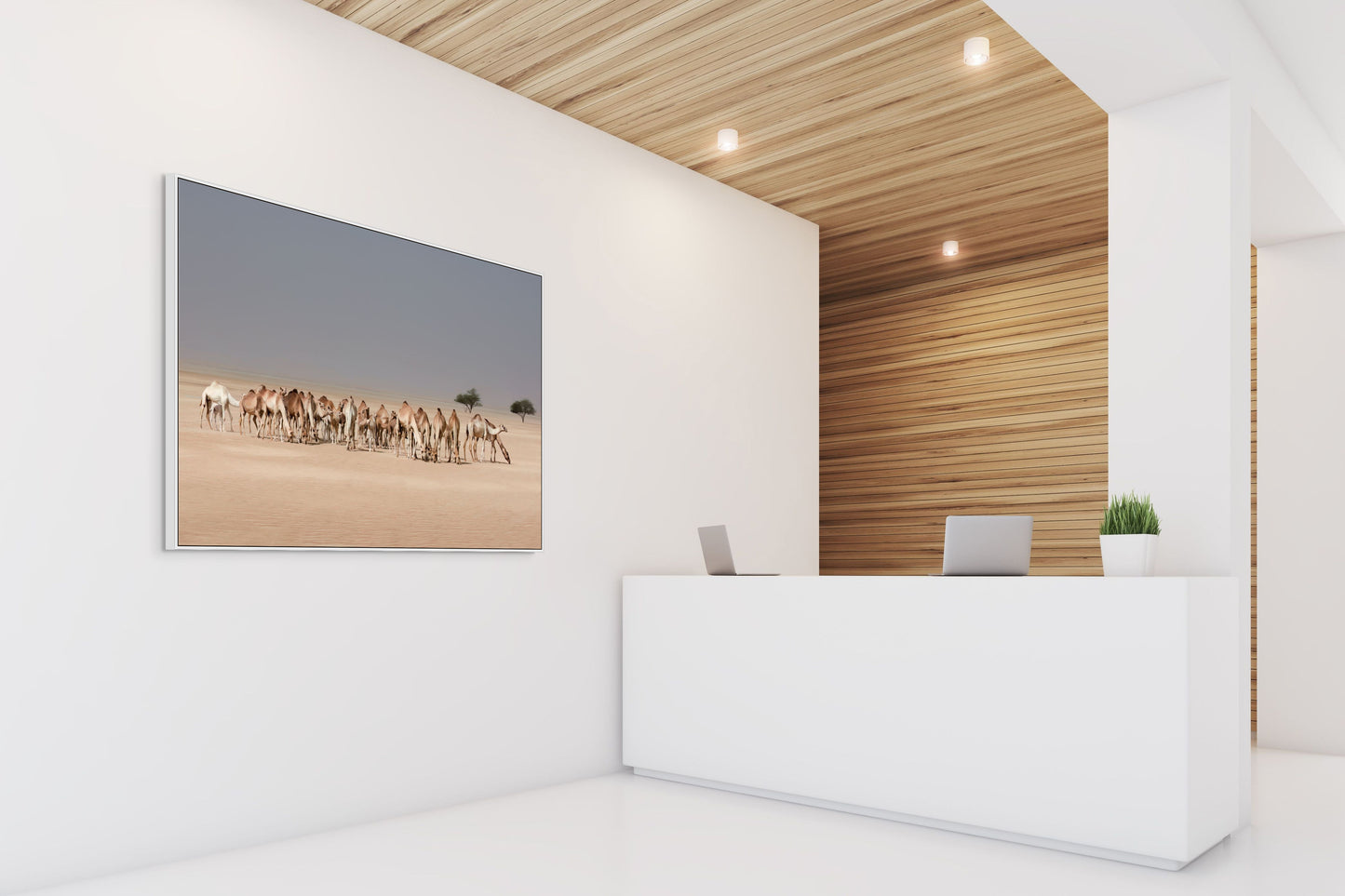 Desert's Vibrant Tapistry