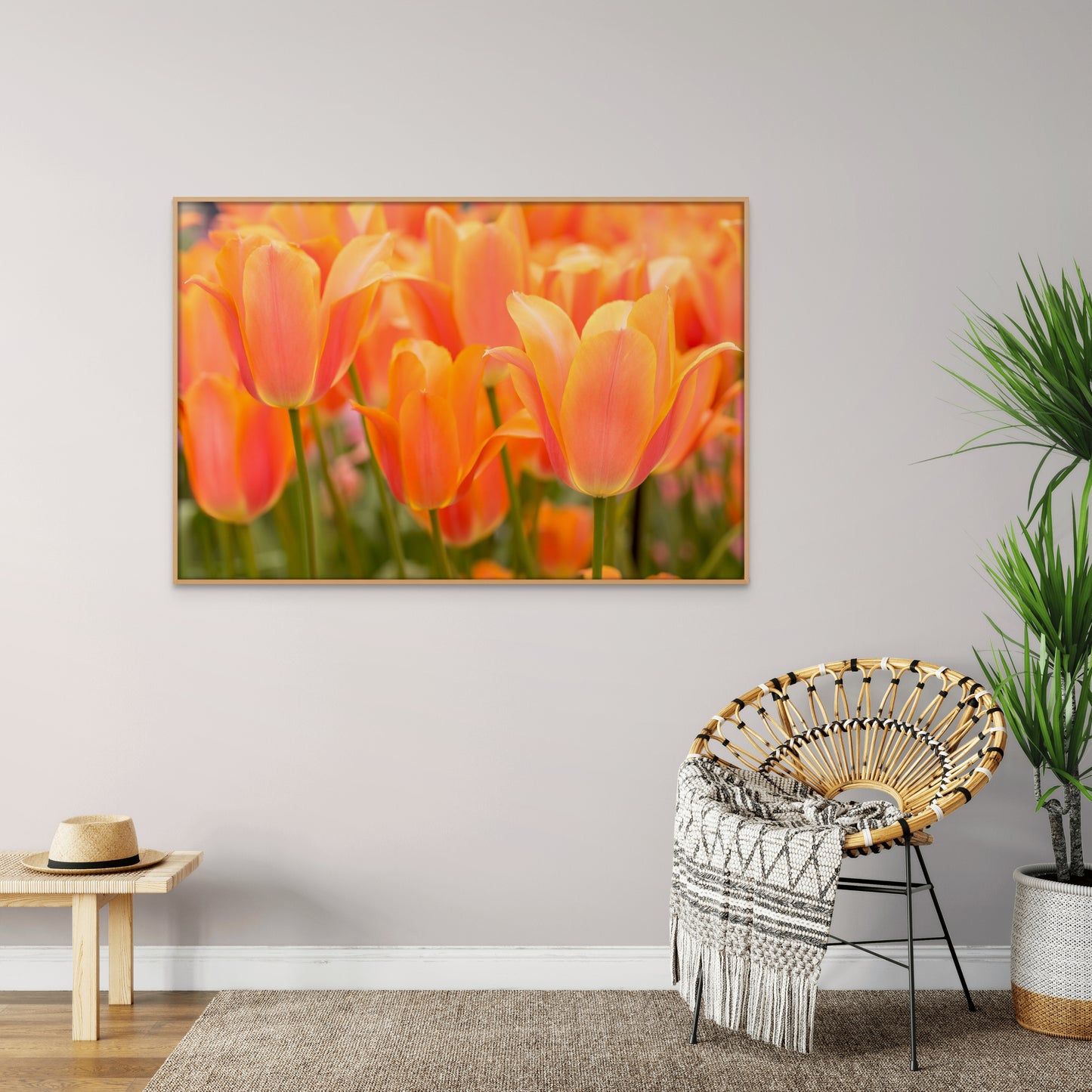 Framed Print :  Orange Symphony