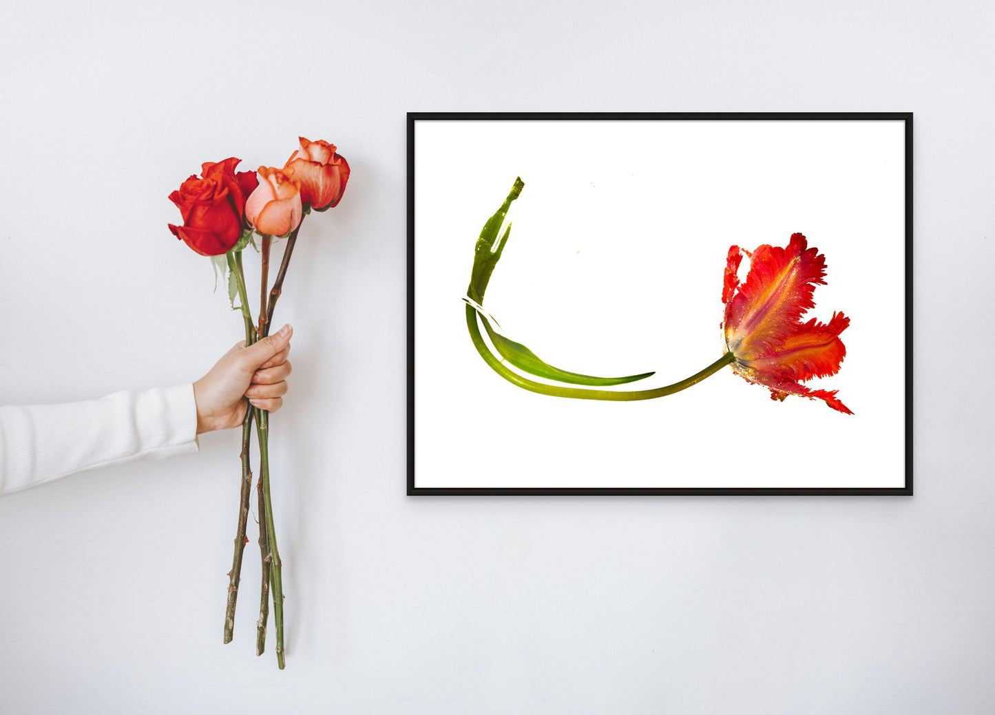 Framed Print: Solitary Elegance